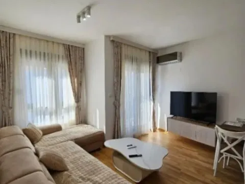 Izdavanje, jednosoban stan, 45m², Zabjelo, Podgorica - image 3