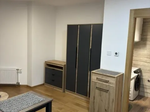 Izdavanje, garsonjera, 28m², Bulevar Oslobodjenja, Novi Sad Sve Podlokacije - image 8