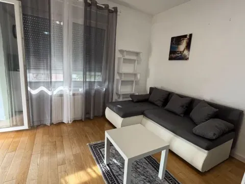 Izdavanje, jednosoban stan, 44m², Zemun Sve Podlokacije, Beograd - image 2