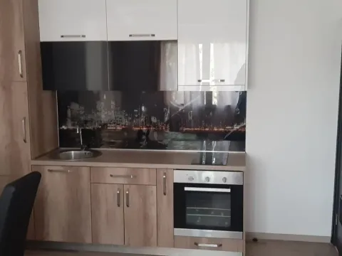 Izdavanje, jednosoban stan, 42m², Centar, Podgorica - image 5