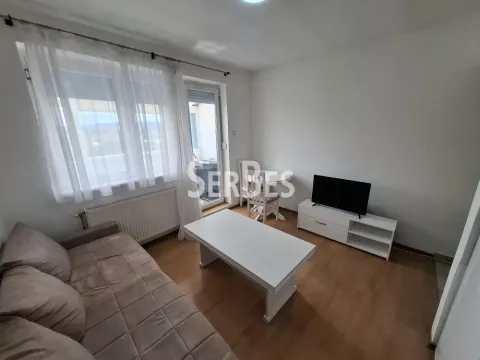 Izdavanje, jednosoban stan, 27m², Detelinara, Novi Sad Sve Podlokacije - image 1