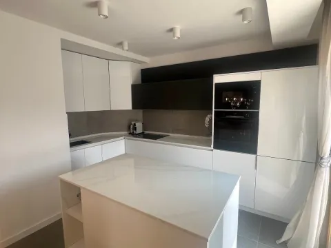 Izdavanje, četvorosoban stan, 205m², Vračar Hram, Vračar Sve Podlokacije - image 3