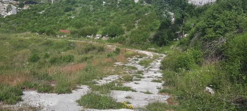 Prodaja, plac, 30000m², Cetinje, Crna Gora
