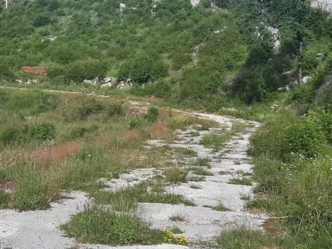 Prodaja, plac, 30000m², Cetinje, Crna Gora - image 5