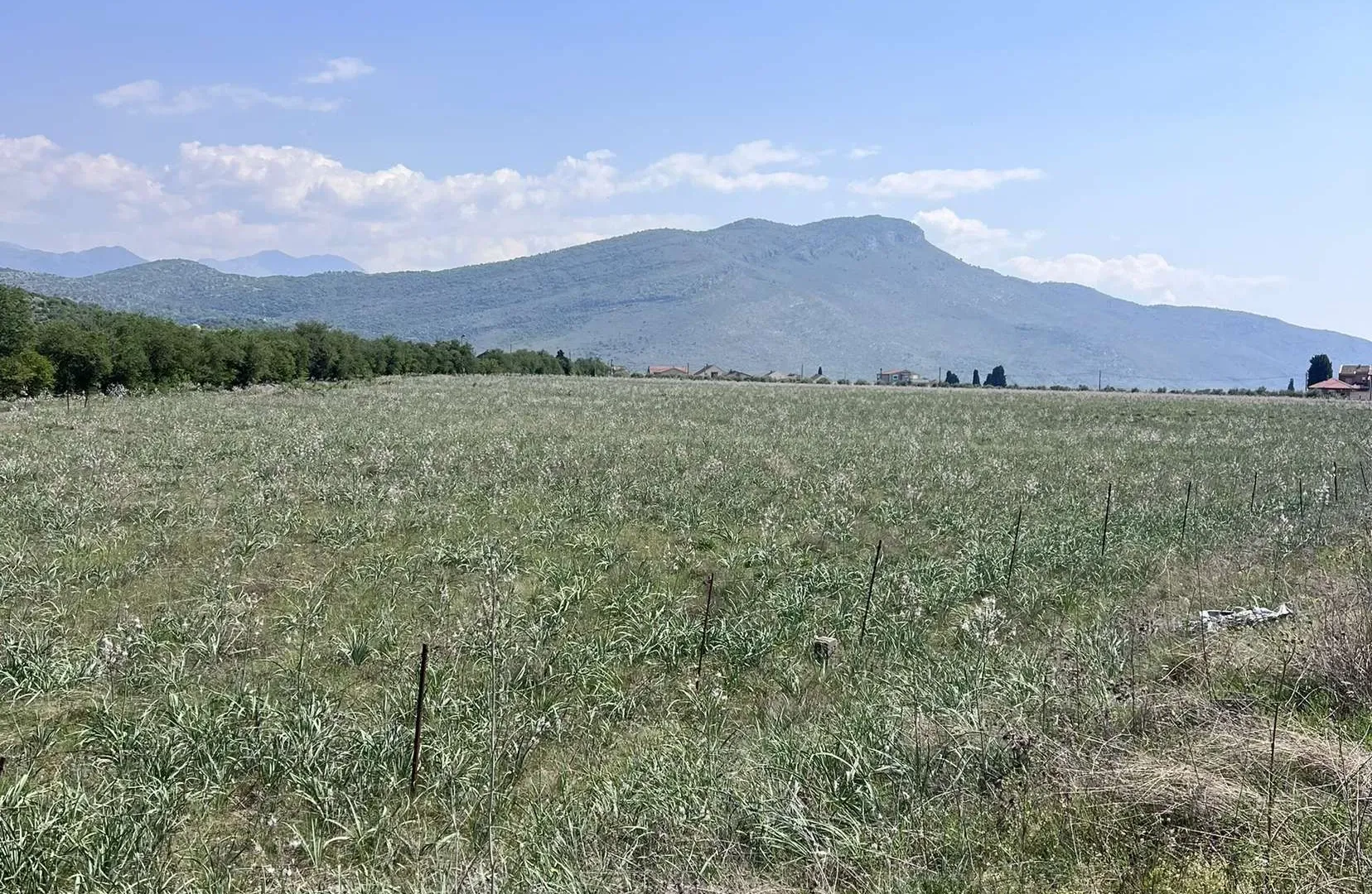 Izdavanje, plac, 10000m², Tuzi, Podgorica