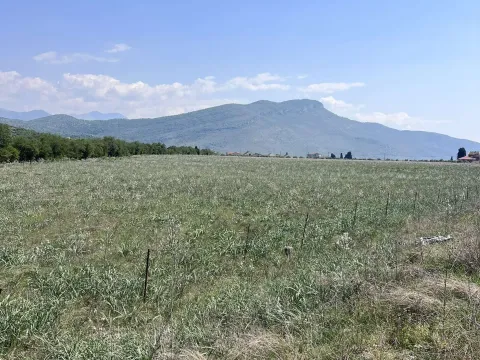 Izdavanje, plac, 10000m², Tuzi, Podgorica - image 2