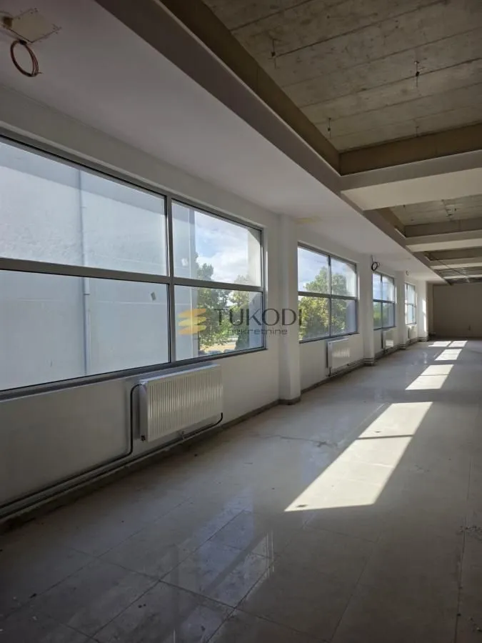 Rent, office space, 4597m², Šangaj, Novi Sad Sve Podlokacije