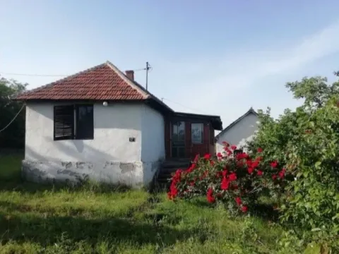 Prodaja, plac, 19500m², Koraćica, Mladenovac - image 5
