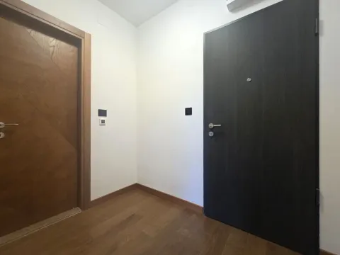 Izdavanje, jednosoban stan, 49m², Ljubović, Podgorica - image 11