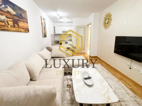 Rent, one bedroom apartment, 46m², Zagorič, Podgorica - image 5