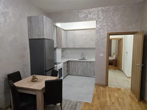 Rent, one bedroom apartment, 54m², Ljubović, Podgorica - image 3