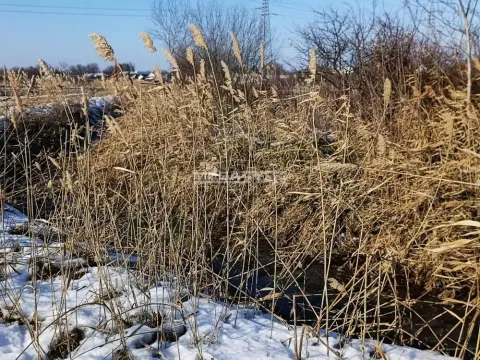 Prodaja, plac, 480m², Stari Tamiš, Pančevo - image 5
