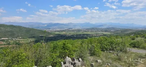 Prodaja, plac, 94785m², Beri, Podgorica - image 4
