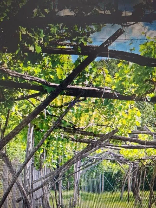Prodaja, kuća, 150m², Danilovgrad, Crna Gora
