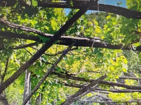 Prodaja, kuća, 150m², Danilovgrad, Crna Gora - image 7