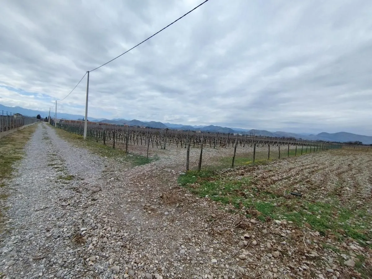 Prodaja, plac, 15000m², Podgorica, Crna Gora