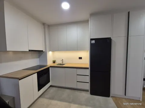 Izdavanje, dvosoban stan, 51m², Hala Pionir, Palilula Sve Podlokacije - image 4