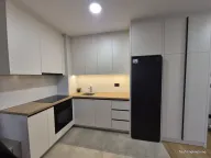 Izdavanje, dvosoban stan, 51m², Hala Pionir, Palilula Sve Podlokacije - image 4