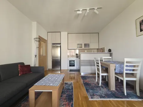 Prodaja, jednosoban stan, 44m², Ljubović, Podgorica - image 3