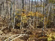 Sale, land lot, 1000m², Žirci, Kolašin - image 6