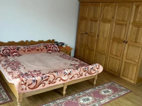 Sale, house, 300m², Ilićevo, Kragujevac - image 11