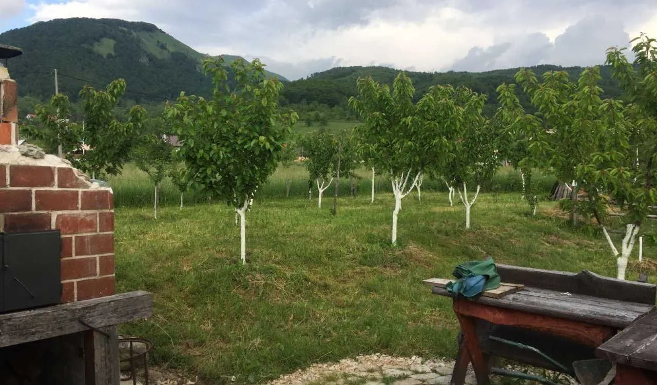 Prodaja, plac, 748m², Kolašin, Crna Gora