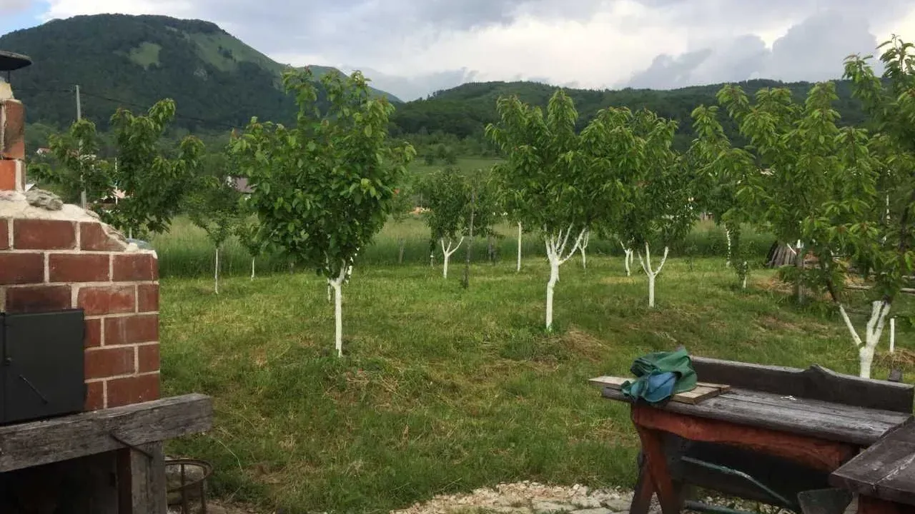 Prodaja, plac, 748m², Kolašin, Crna Gora