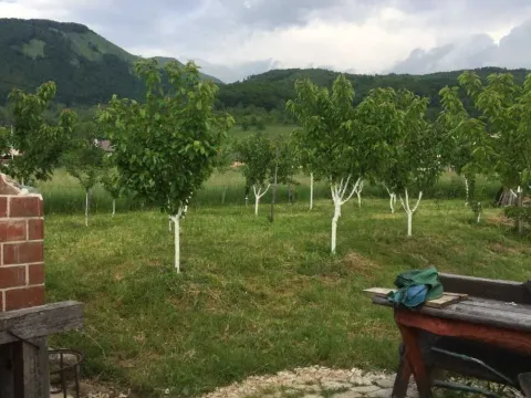 Prodaja, plac, 748m², Kolašin, Crna Gora