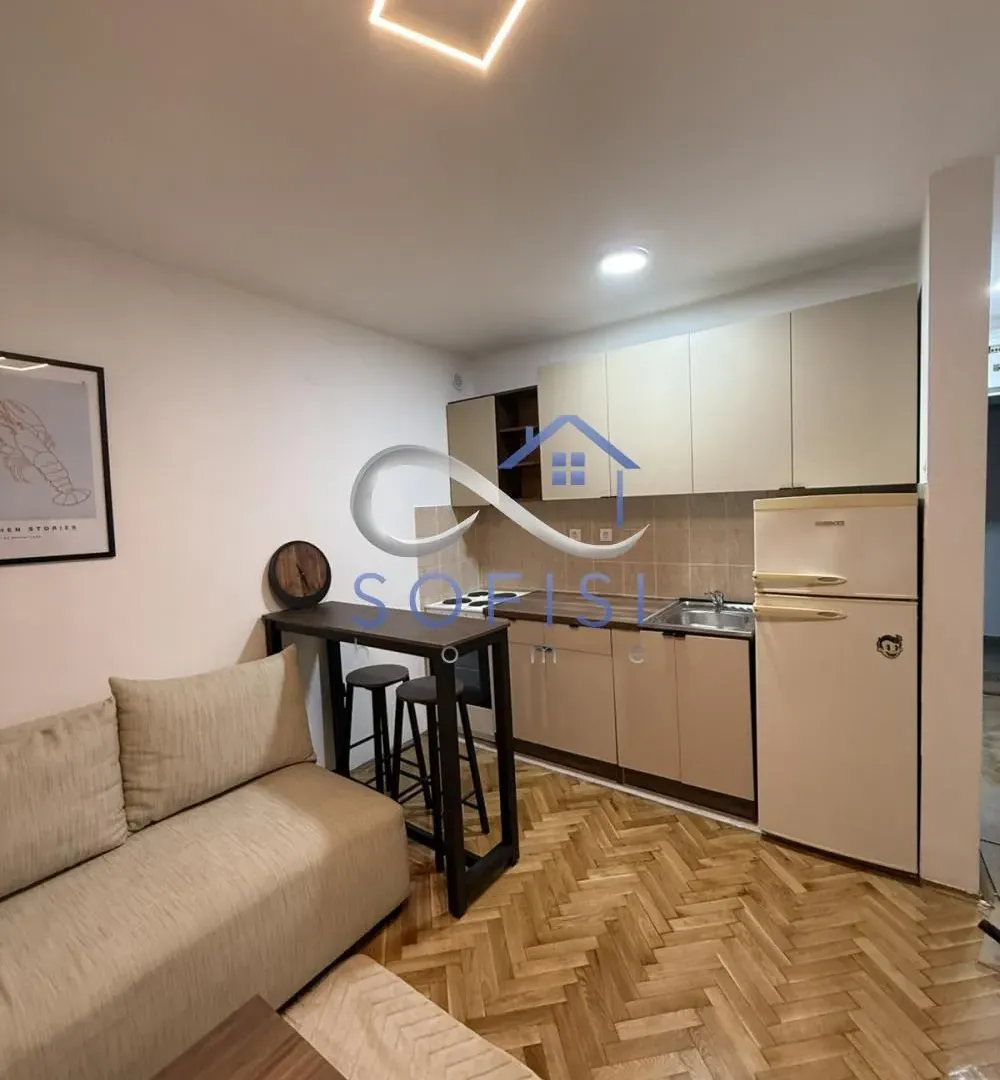 Izdavanje, stan, 21m², Grbavica, Novi Sad Sve Podlokacije