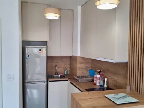 Izdavanje, garsonjera, 30m², Zabjelo, Podgorica - image 7