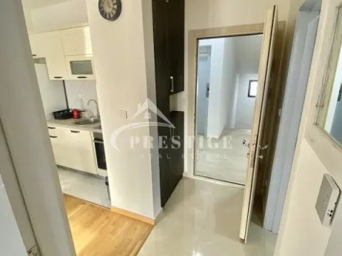 Izdavanje, jednosoban stan, 40m², Zabjelo, Podgorica - image 3