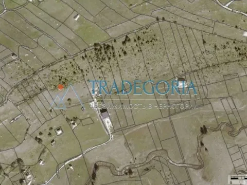 Prodaja, kuća, 920m², Žabljak, Crna Gora - image 4