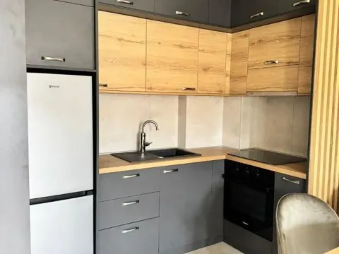 Izdavanje, jednosoban stan, 42m², Sajmište, Novi Sad - image 9