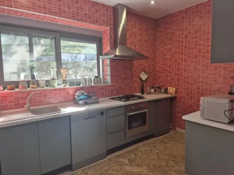 Kuhinja sa sivim elementima i crvenim mozaik pločicama na zidu. - image 11