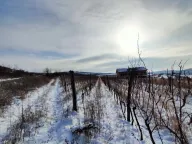 Prodaja, plac, 300m², Beočin, Srbija - image 13