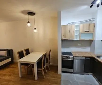 Izdavanje, jednosoban stan, 40m², Central Point, Podgorica - image 2