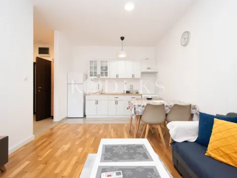 Rent, one bedroom apartment, 40m², Zabjelo, Podgorica - image 3