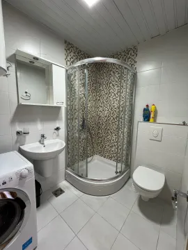 Smaller bathroom with a shower cabin, washbasin, toilet, and washing machine. - image 9