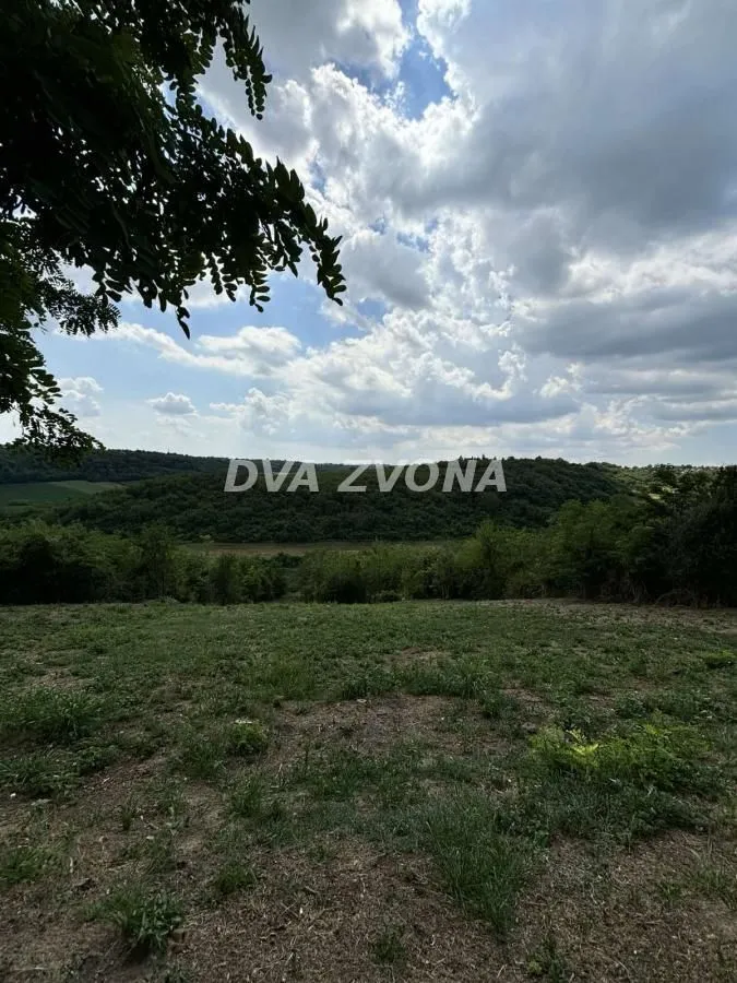 Prodaja, plac, 2500m², Čortanovci, Inđija