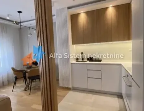 Izdavanje, dvosoban stan, 45m², Južni Bulevar, Vračar Sve Podlokacije - image 6