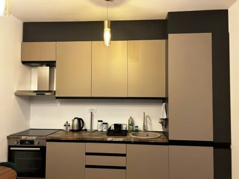 Izdavanje, stan, 45m², Zabjelo, Podgorica - image 4