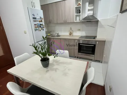 Izdavanje, jednosoban stan, 44m², Stari Aerodrom, Podgorica - image 3