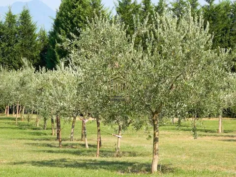 Sale, house, 122m², Golubovci, Podgorica - image 2