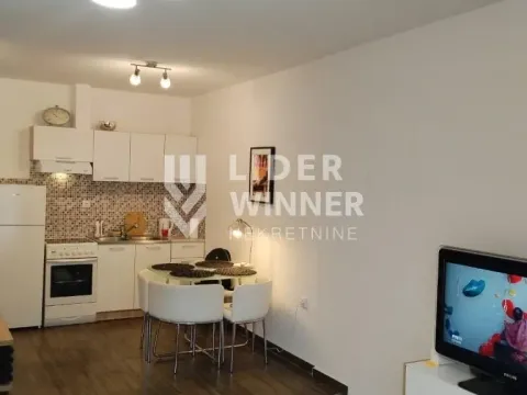 Izdavanje, jednosoban stan, 40m², Čubura, Beograd - image 4