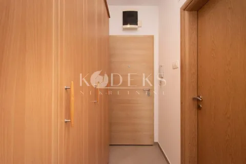 Izdavanje, garsonjera, 30m², Tuški Put, Podgorica - image 6