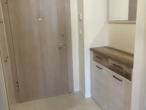 Izdavanje, jednosoban stan, 50m², Central Point, Podgorica - image 7