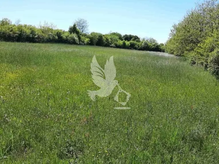 Sale, land lot, Dučina, Sopot