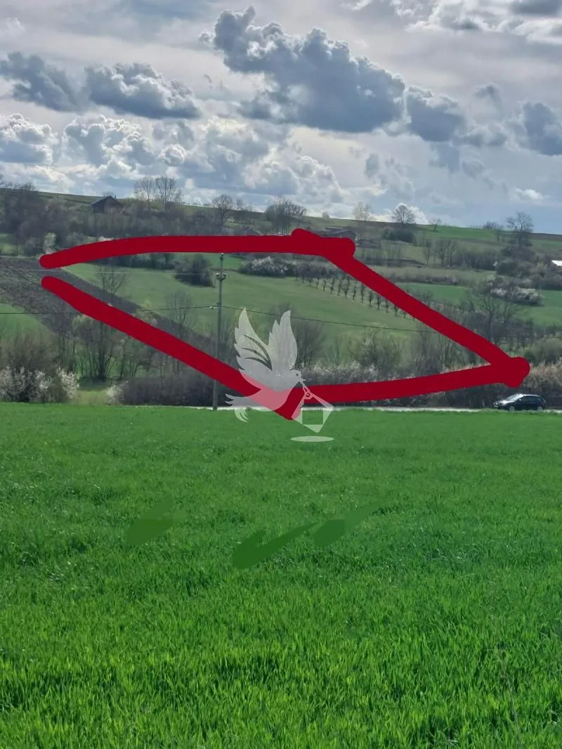 Prodaja, plac, 12000m², Koraćica, Mladenovac