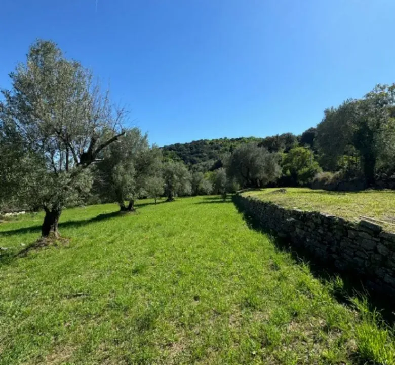 Prodaja, plac, 2540m², Kamenari, Herceg Novi