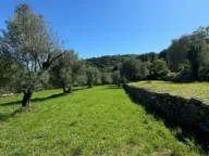 Prodaja, plac, 2540m², Kamenari, Herceg Novi - image 1